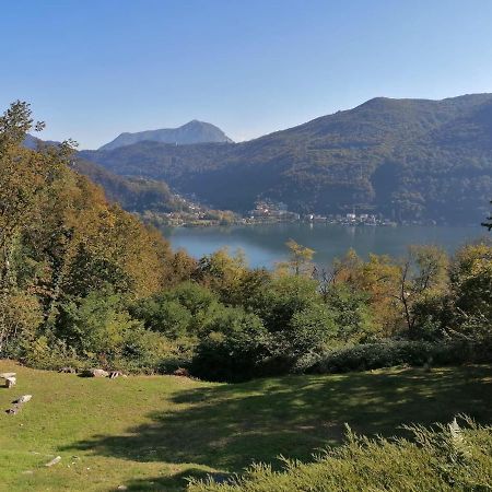 Bed and Breakfast La Finestra Sul Lago Brusimpiano Zewnętrze zdjęcie