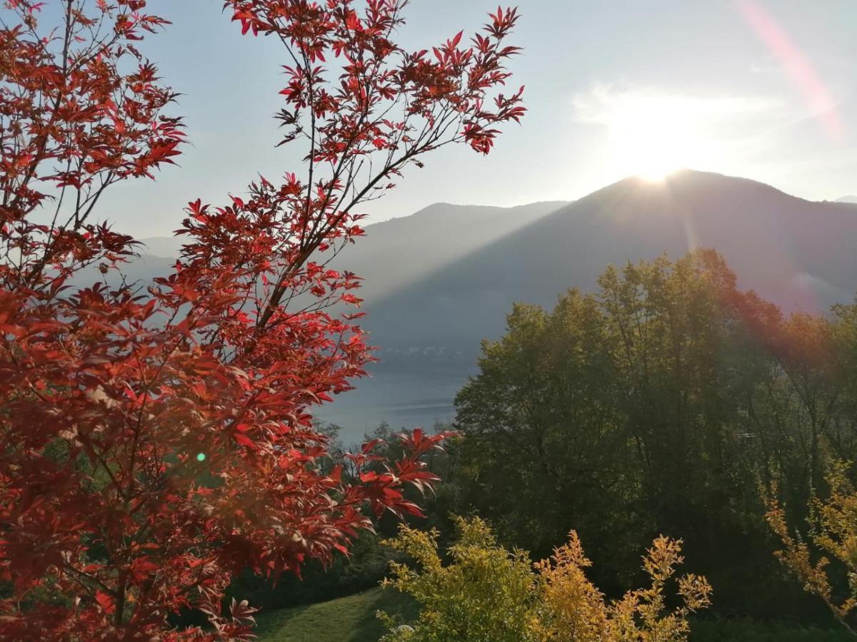 Bed and Breakfast La Finestra Sul Lago Brusimpiano Zewnętrze zdjęcie