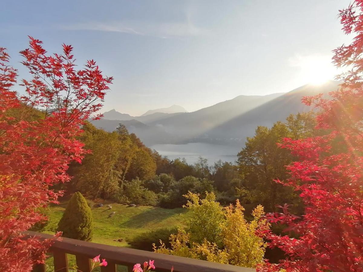 Bed and Breakfast La Finestra Sul Lago Brusimpiano Zewnętrze zdjęcie