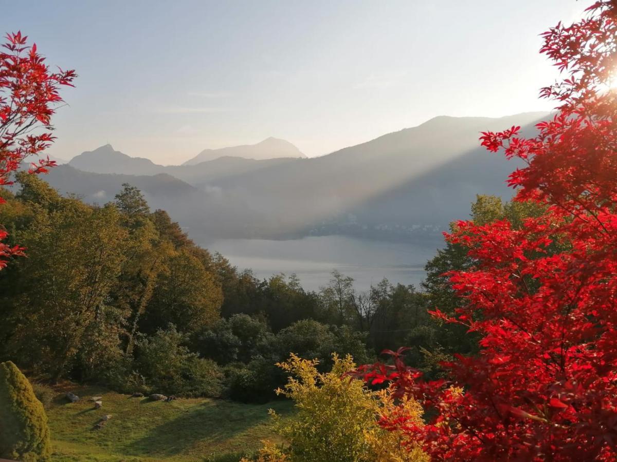 Bed and Breakfast La Finestra Sul Lago Brusimpiano Zewnętrze zdjęcie