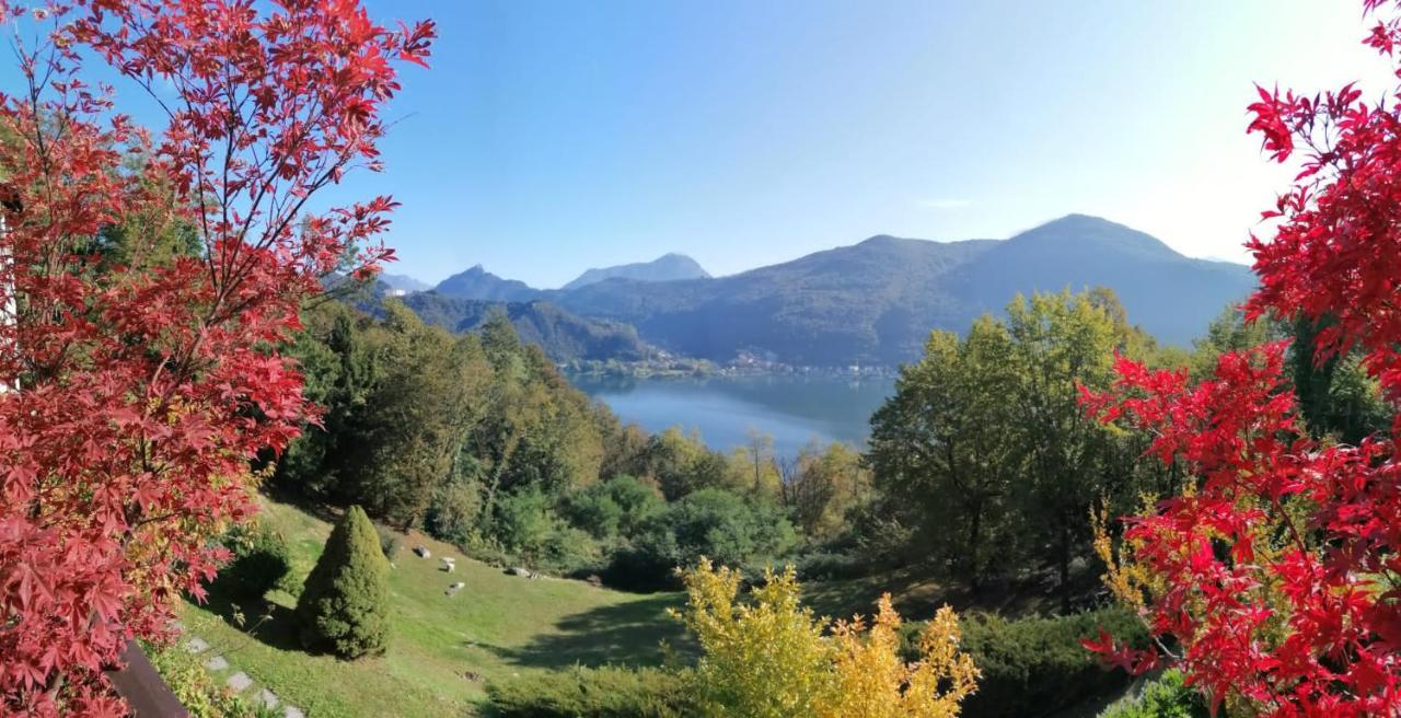 Bed and Breakfast La Finestra Sul Lago Brusimpiano Zewnętrze zdjęcie