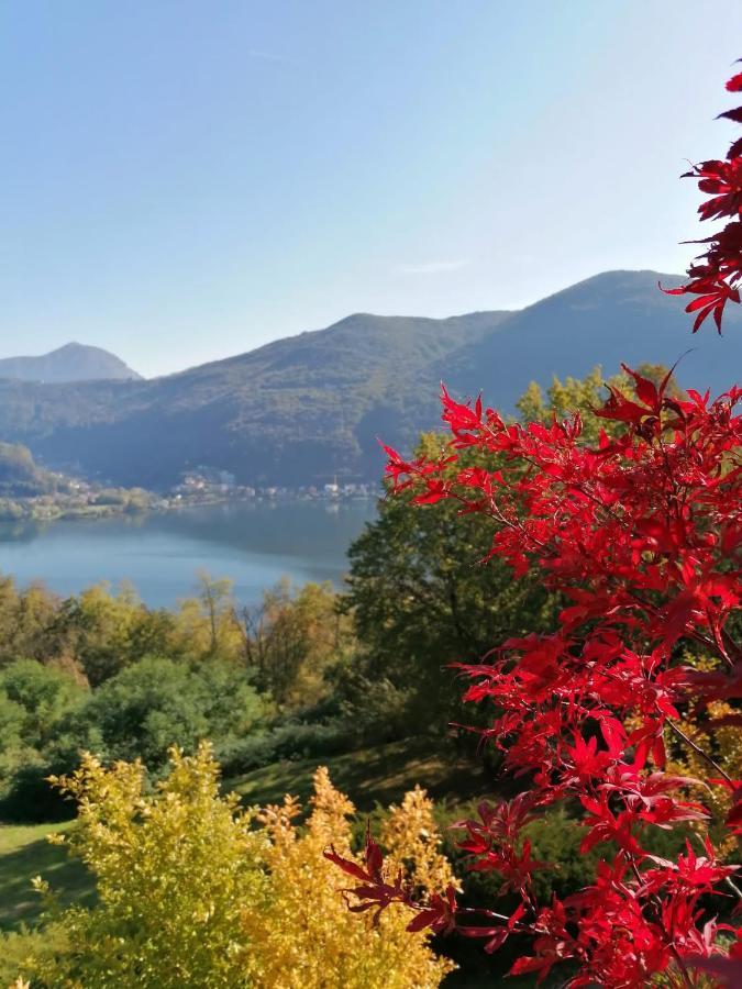 Bed and Breakfast La Finestra Sul Lago Brusimpiano Zewnętrze zdjęcie