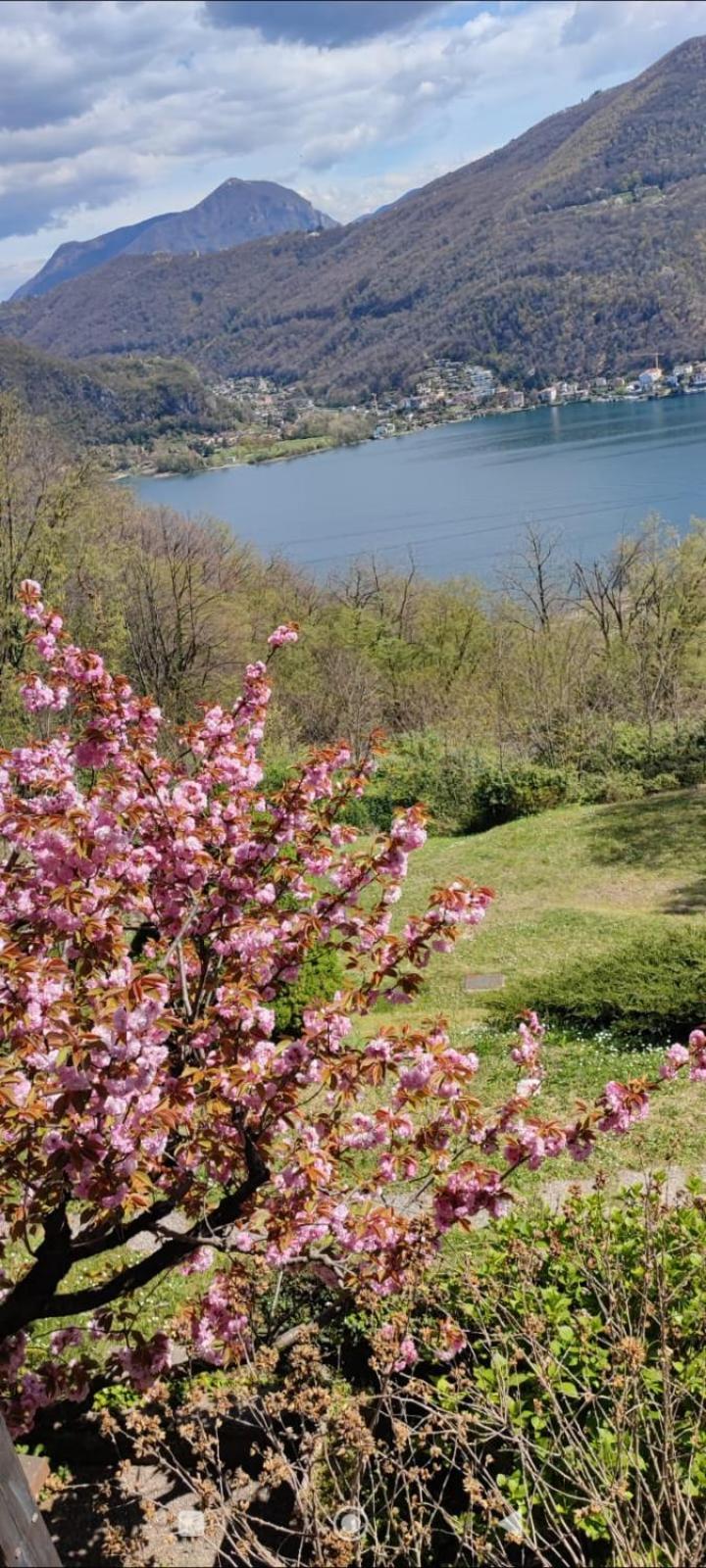 Bed and Breakfast La Finestra Sul Lago Brusimpiano Zewnętrze zdjęcie